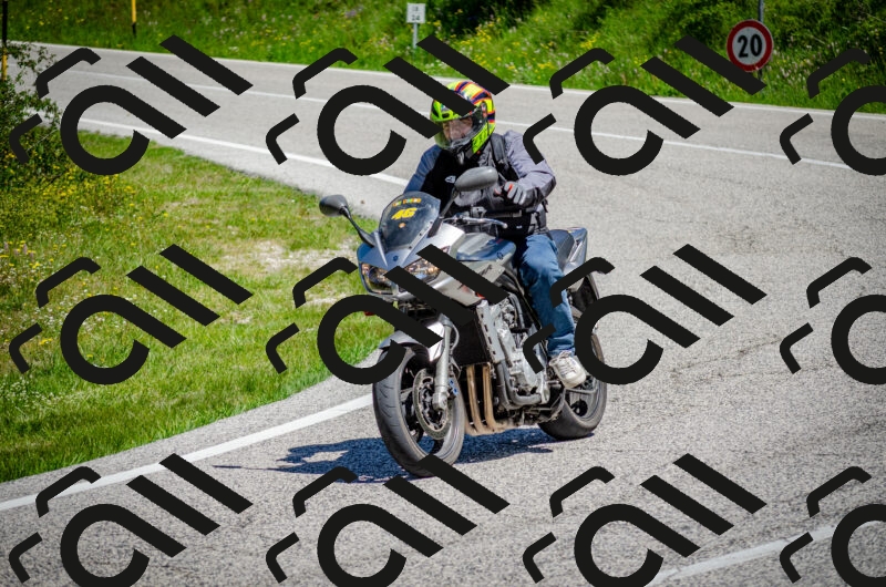 202506011145-DSC_3478_c2