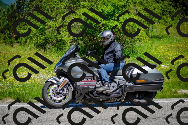 202506011146-DSC_3483_c2