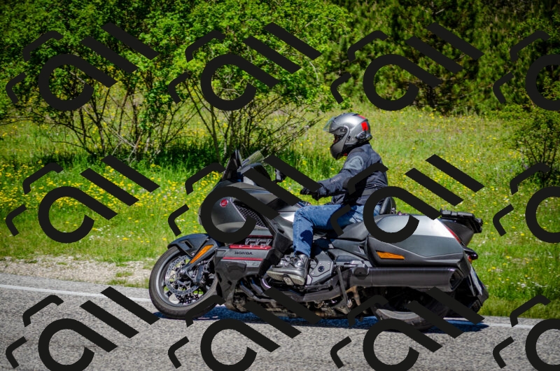 202506011146-DSC_3484_c2