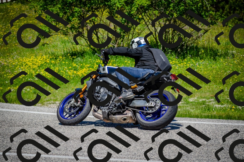 202506011147-DSC_3493_c2