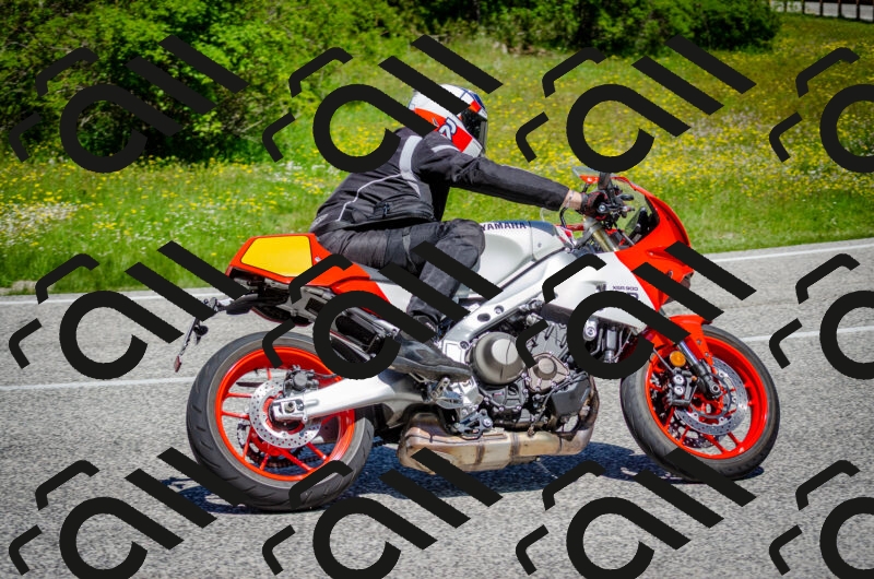 202506011147-DSC_3497_c2