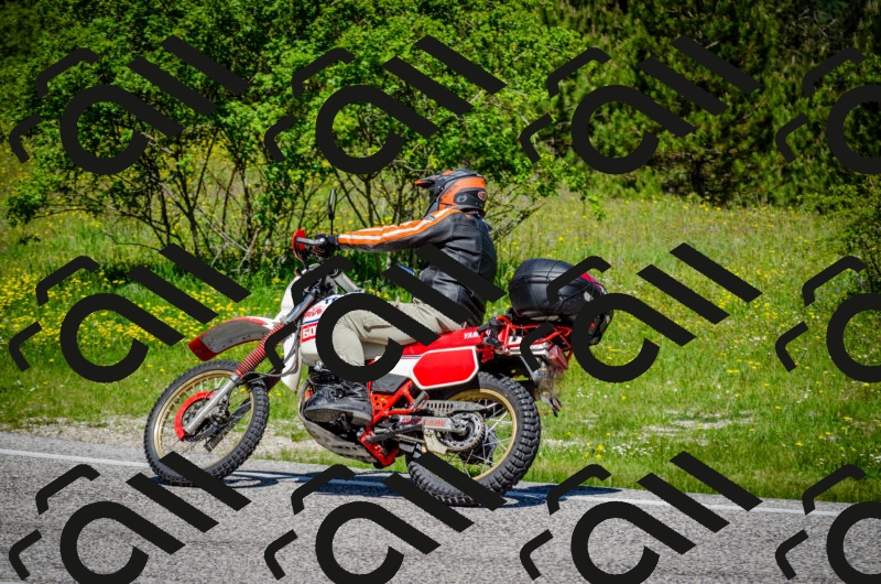 202506011149-DSC_3520_c2