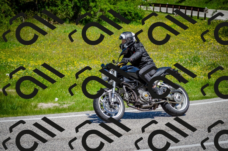 202506011149-DSC_3522_c2