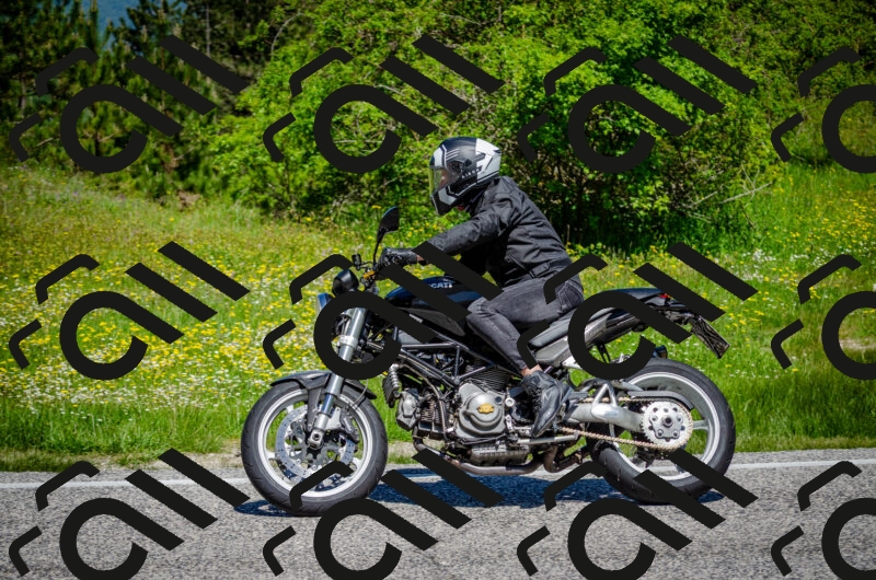 202506011149-DSC_3523_c2