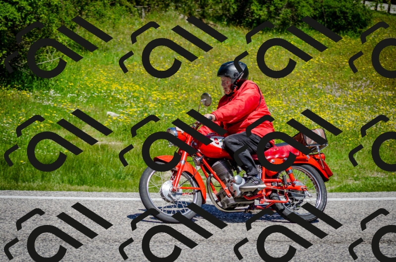 202506011149-DSC_3524_c2