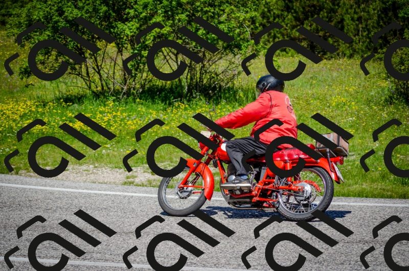 202506011149-DSC_3525_c2