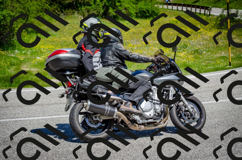 202506011150-DSC_3531_c2