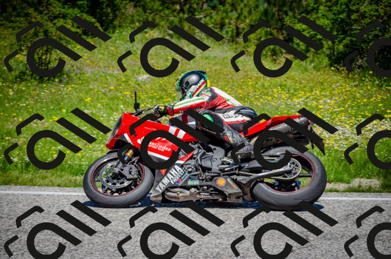 202506011150-DSC_3535_c2