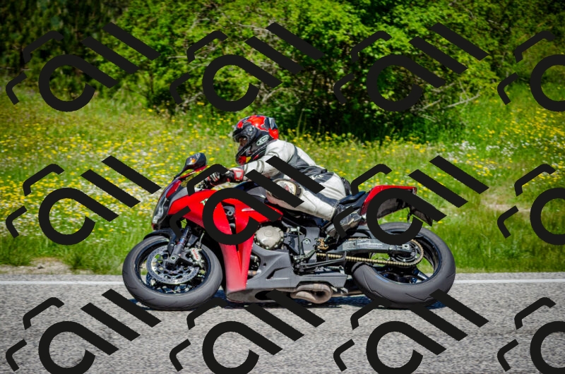 202506011150-DSC_3537_c2