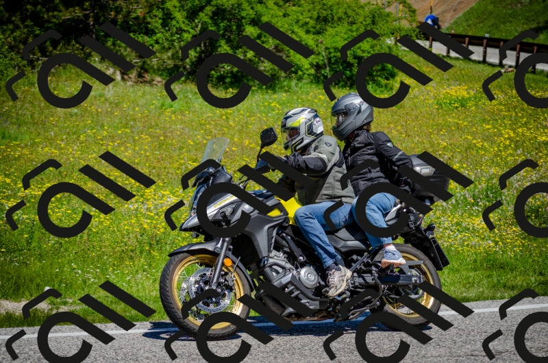 202506011150-DSC_3540_c2