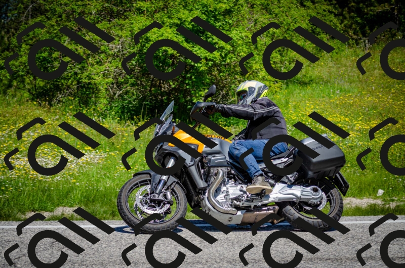 202506011150-DSC_3543_c2