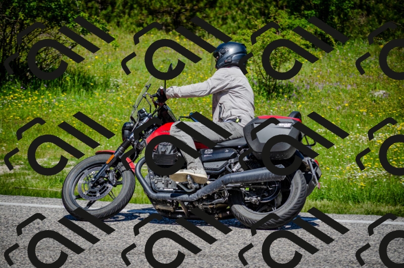 202506011150-DSC_3547_c2