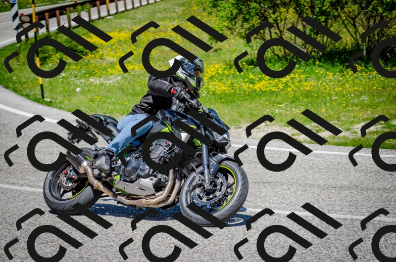 202506011150-DSC_3549_c2