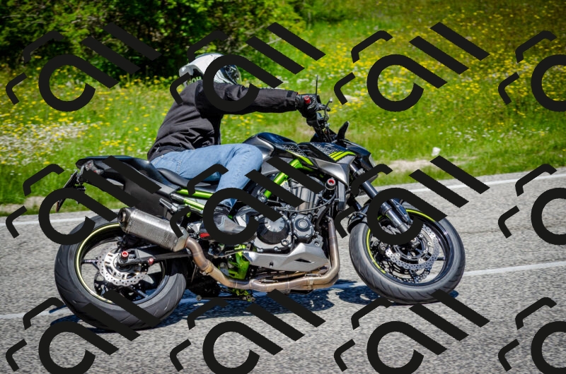 202506011150-DSC_3550_c2