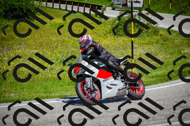 202506011154-DSC_3608_c2