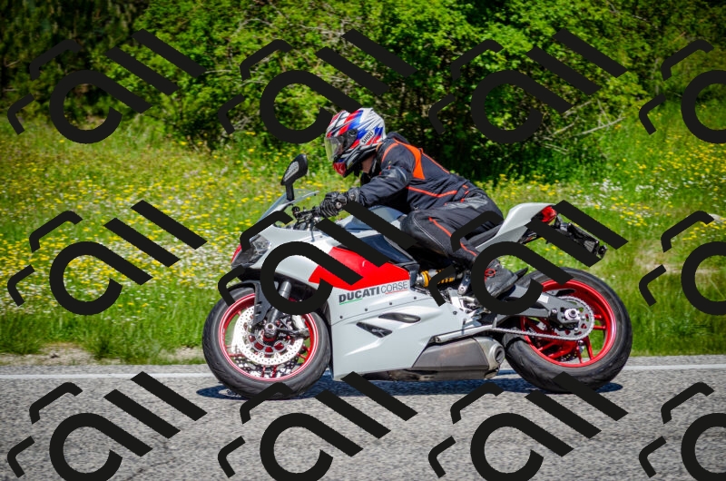 202506011154-DSC_3609_c2