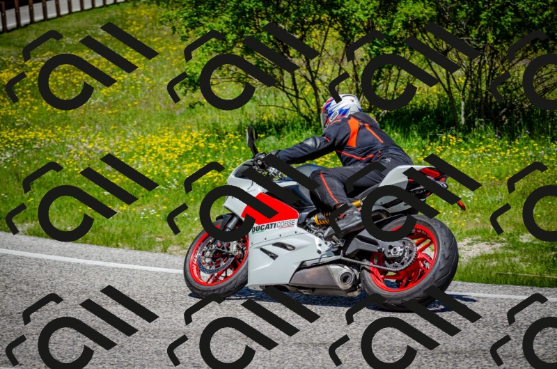 202506011154-DSC_3610_c2