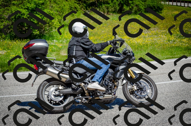 202506011154-DSC_3613_c2