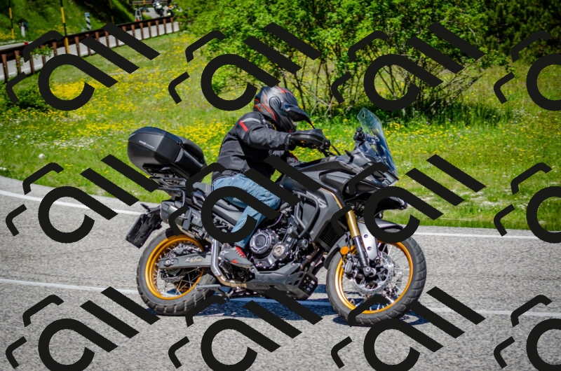 202506011154-DSC_3620_c2