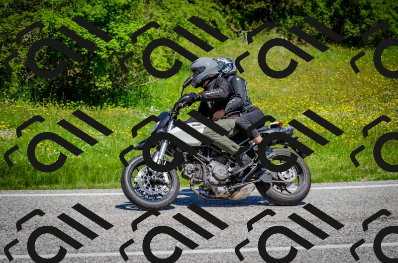 202506011154-DSC_3632_c2