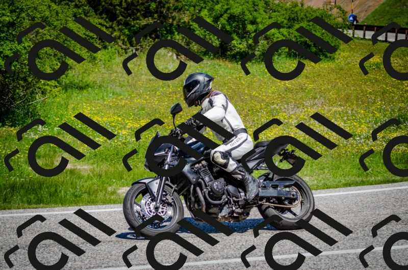 202506011154-DSC_3633_c2