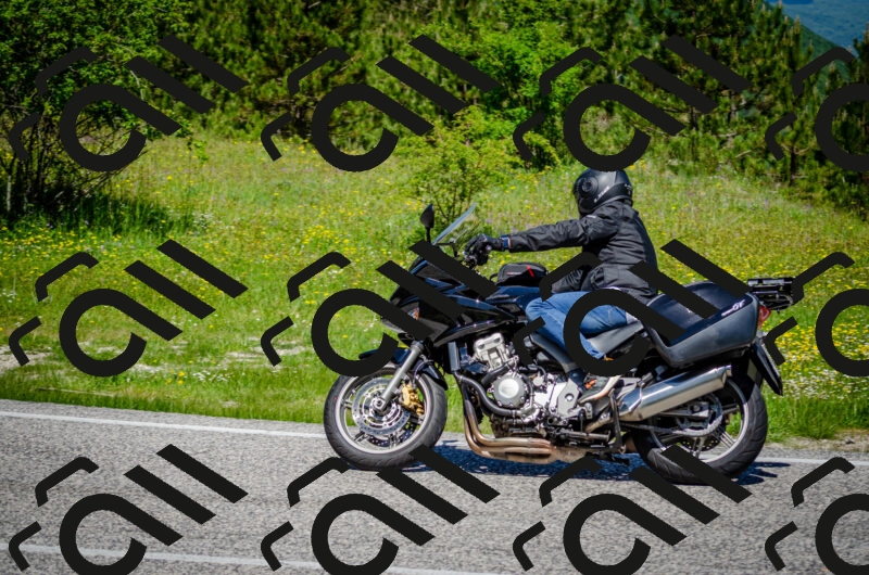 202506011154-DSC_3636_c2