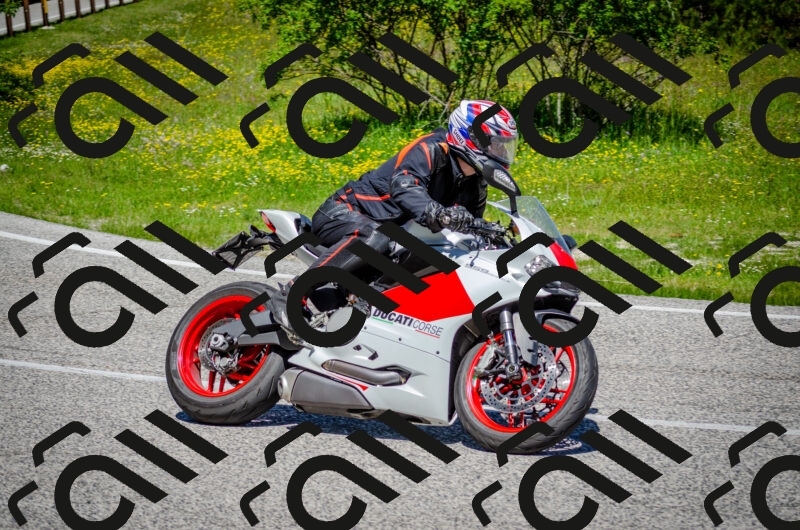 202506011155-DSC_3638_c2