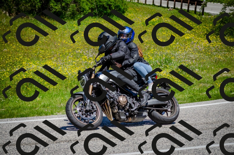 202506011155-DSC_3641_c2