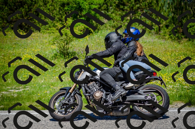 202506011155-DSC_3642_c2