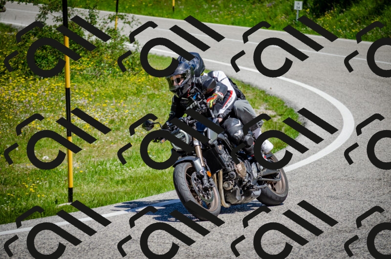 202506011155-DSC_3643_c2