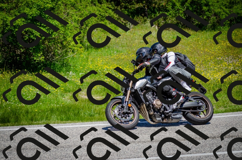 202506011155-DSC_3644_c2