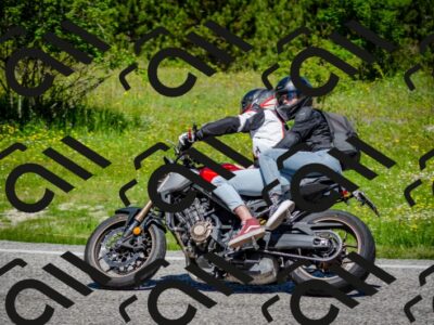 202506011155-DSC_3646_c2