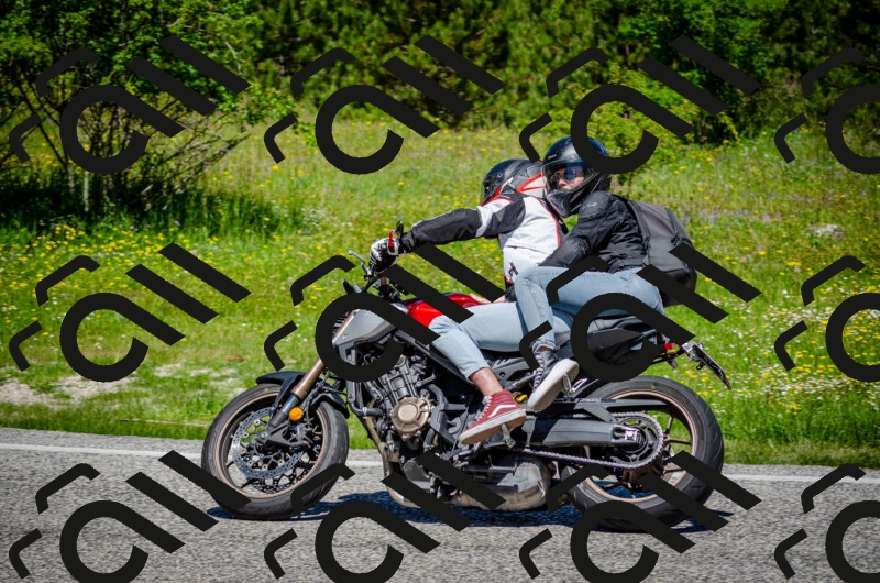 202506011155-DSC_3646_c2