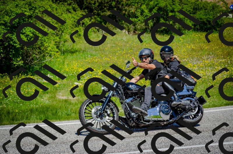 202506011155-DSC_3648_c2