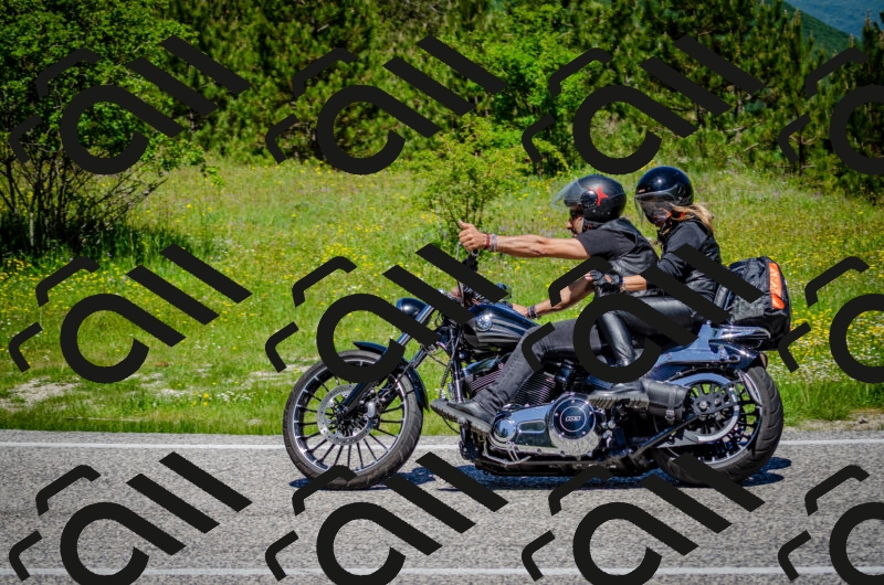 202506011155-DSC_3649_c2