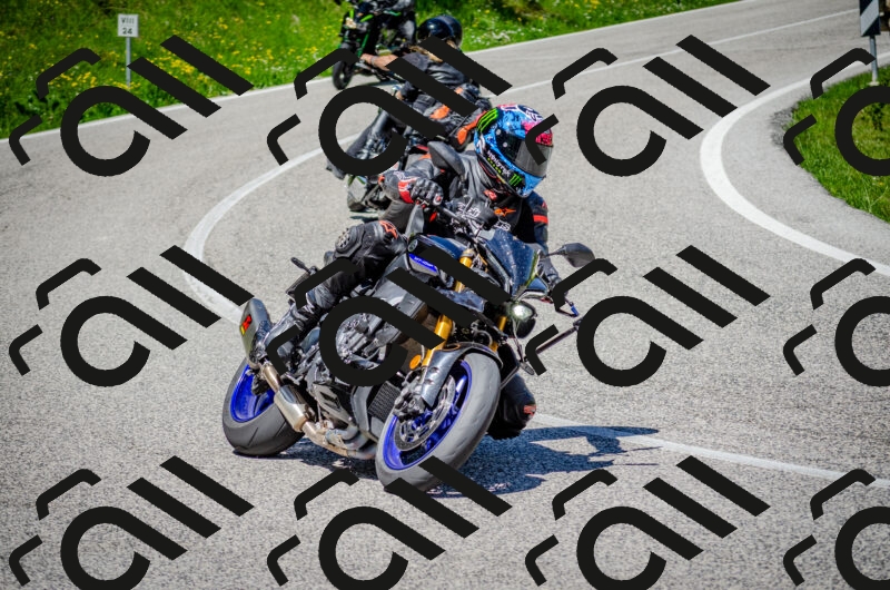 202506011155-DSC_3650_c2