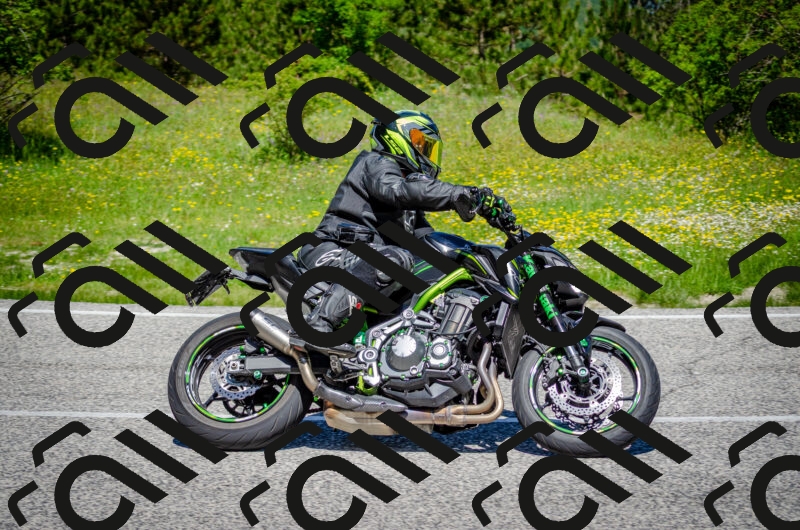 202506011155-DSC_3652_c2