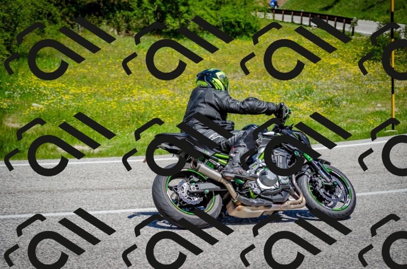 202506011155-DSC_3653_c2