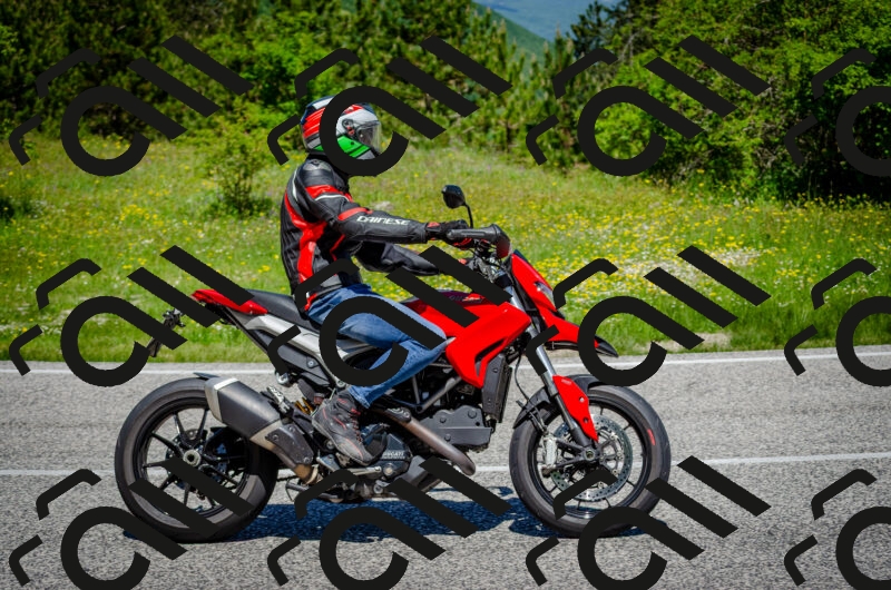 202506011156-DSC_3655_c2