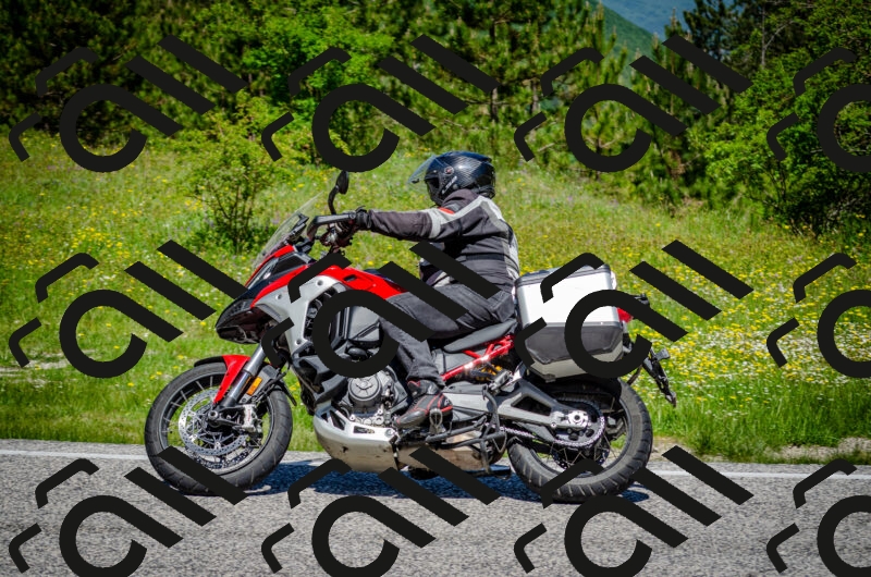 202506011156-DSC_3665_c2