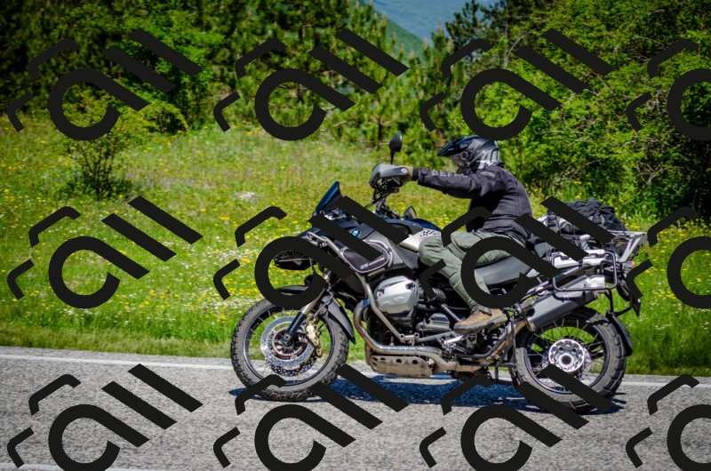 202506011156-DSC_3669_c2