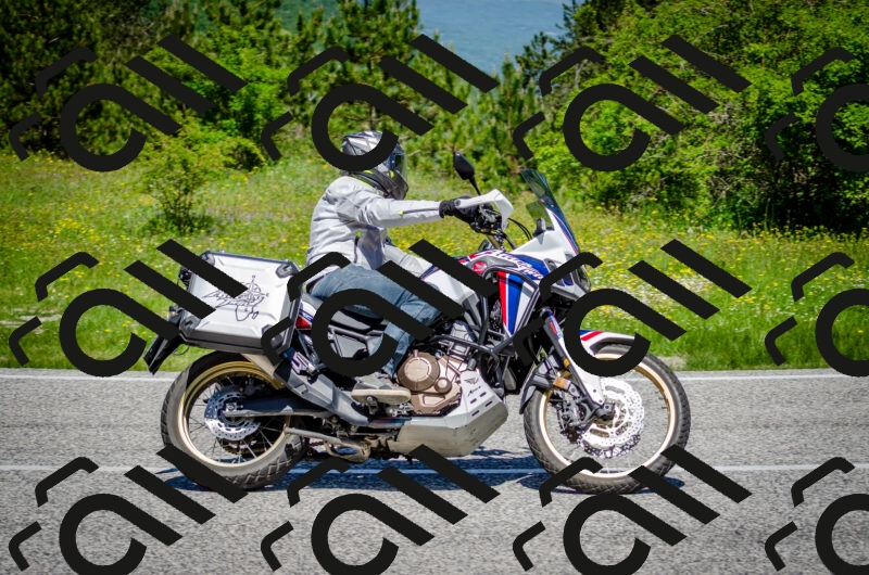 202506011157-DSC_3681_c2