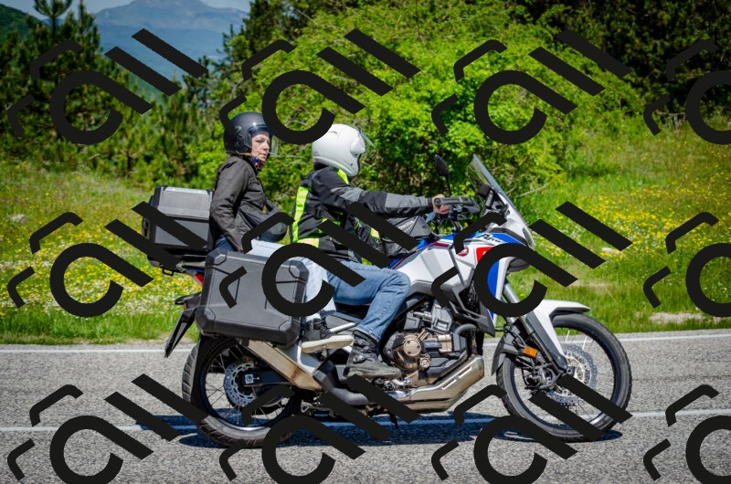 202506011158-DSC_3685_c2