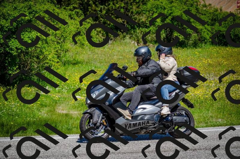 202506011158-DSC_3687_c2