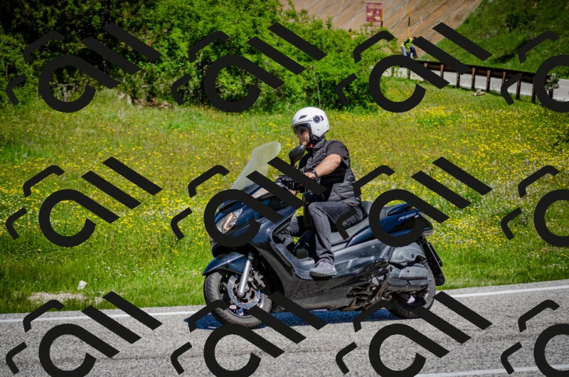 202506011158-DSC_3688_c2