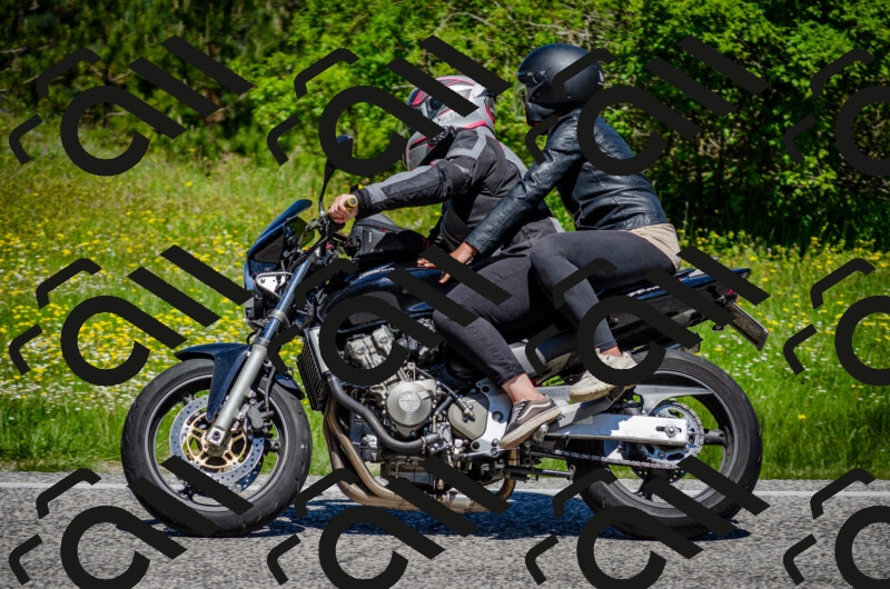 202506011159-DSC_3698_c2