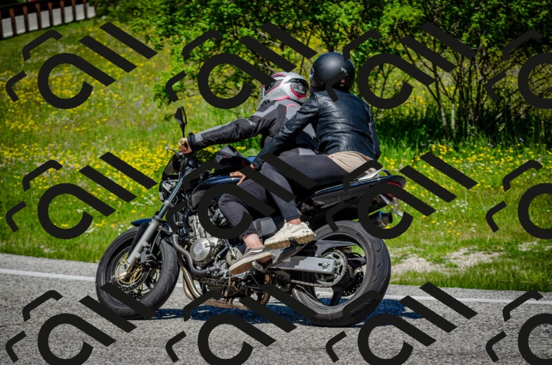 202506011159-DSC_3699_c2