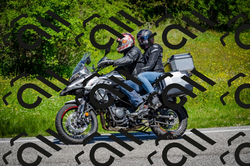 202506011159-DSC_3701_c2