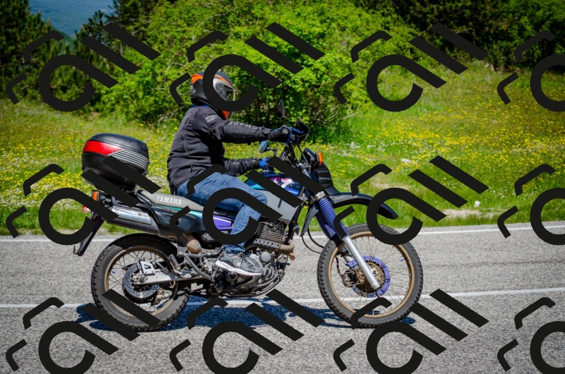 202506011200-DSC_3716_c2