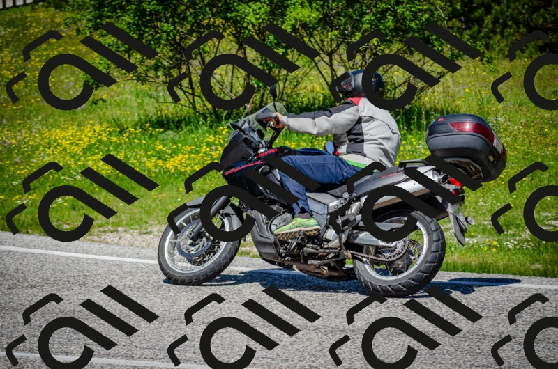 202506011200-DSC_3721_c2